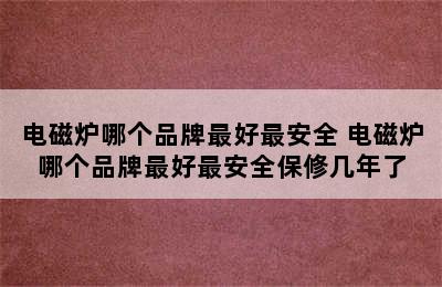 电磁炉哪个品牌最好最安全 电磁炉哪个品牌最好最安全保修几年了